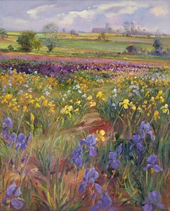ブルガテ教会に向けて 作： Timothy Easton